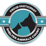 Shelter Animals Count